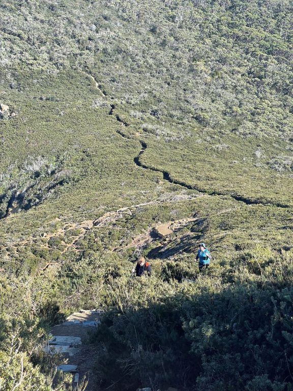 The view of the top of the hill